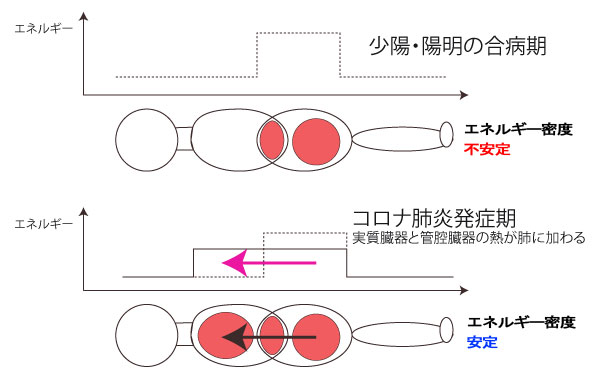 コロナ肺炎理論的解析